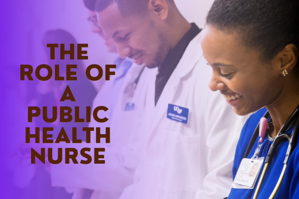 Public Health Nurses