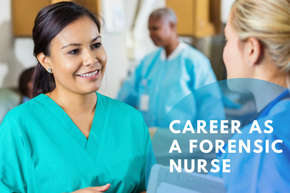 career forensic nurseing